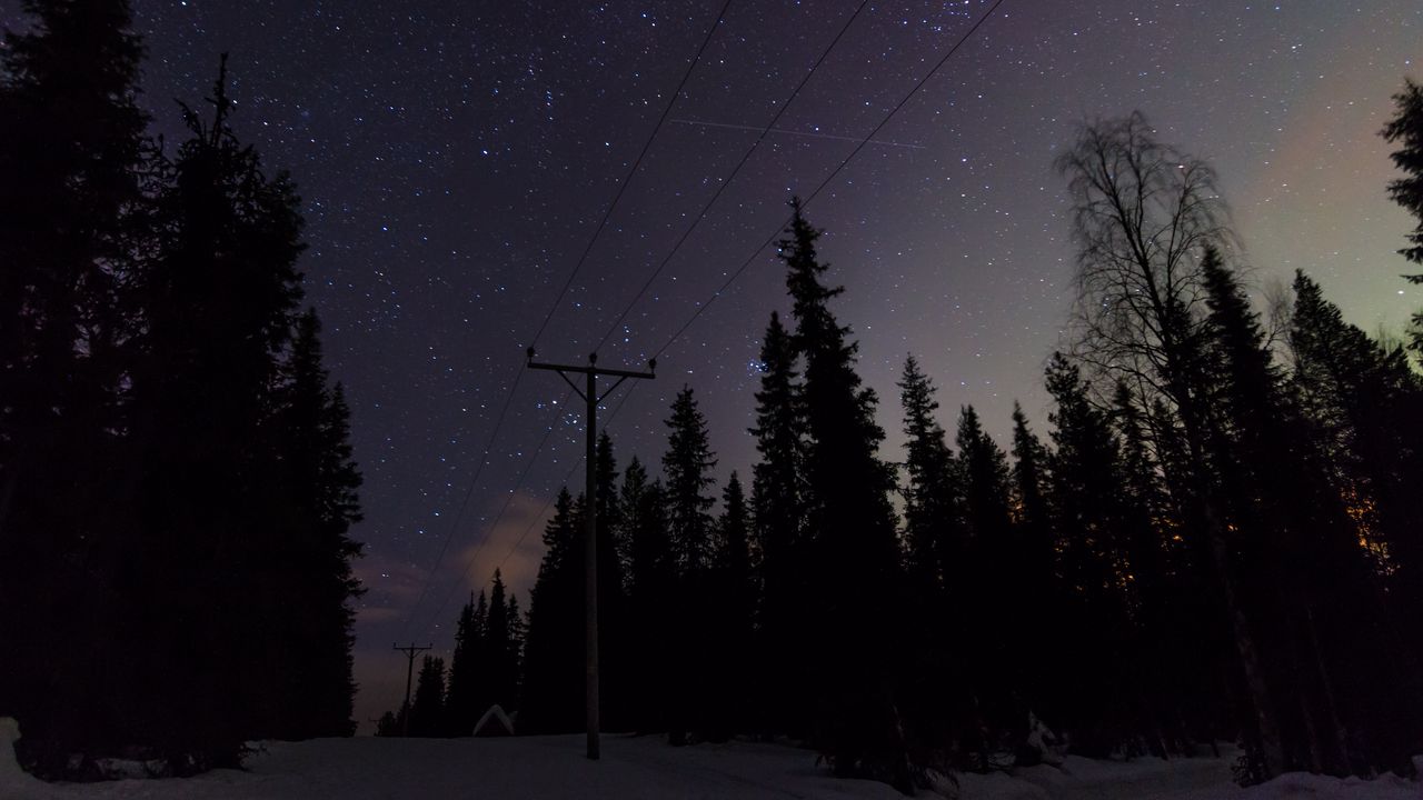 Wallpaper poles, wires, starry sky, trees, night