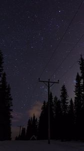 Preview wallpaper poles, wires, starry sky, trees, night