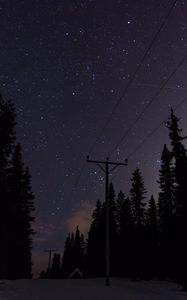 Preview wallpaper poles, wires, starry sky, trees, night