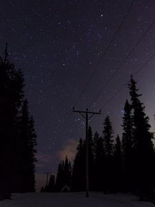 Preview wallpaper poles, wires, starry sky, trees, night