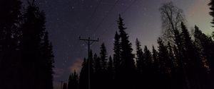 Preview wallpaper poles, wires, starry sky, trees, night