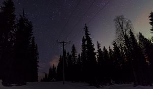 Preview wallpaper poles, wires, starry sky, trees, night