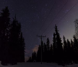 Preview wallpaper poles, wires, starry sky, trees, night