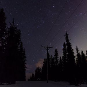 Preview wallpaper poles, wires, starry sky, trees, night