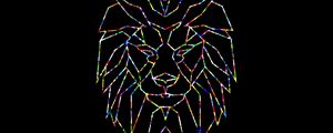 Preview wallpaper polygon, lion, colorful, black