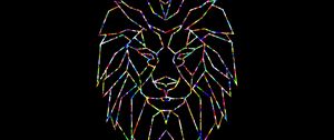 Preview wallpaper polygon, lion, colorful, black