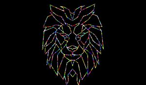 Preview wallpaper polygon, lion, colorful, black