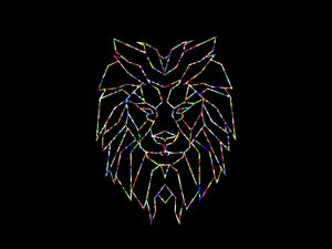 Preview wallpaper polygon, lion, colorful, black