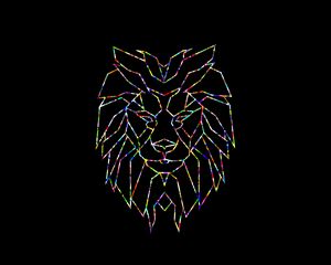 Preview wallpaper polygon, lion, colorful, black