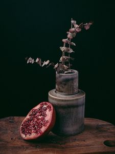 Preview wallpaper pomegranate, fruit, plant, pot, decorative