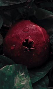Preview wallpaper pomegranate, leaves, drops, fruit, red