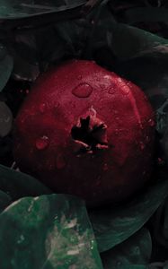 Preview wallpaper pomegranate, leaves, drops, fruit, red