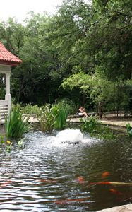 Preview wallpaper pond, arbor, fountain, fish, person
