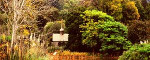 Preview wallpaper pond, autumn, trees