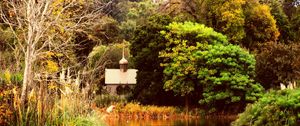 Preview wallpaper pond, autumn, trees