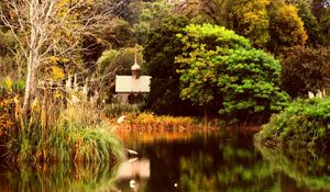 Preview wallpaper pond, autumn, trees