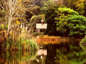 Preview wallpaper pond, autumn, trees