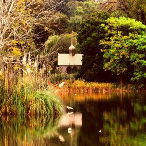 Preview wallpaper pond, autumn, trees