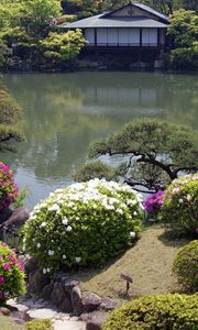 Preview wallpaper pond, beautiful, bushes, landscape