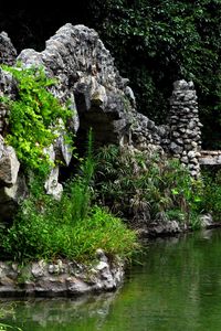 Preview wallpaper pond, bridge, vegetation, registration, stones