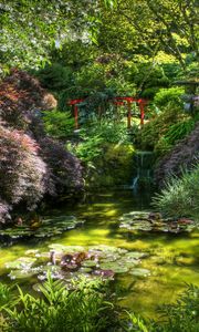 Preview wallpaper pond, bridge, vegetation, green, water-lilies, shadow