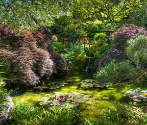 Preview wallpaper pond, bridge, vegetation, green, water-lilies, shadow