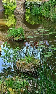 Preview wallpaper pond, bridge, vegetation, nature