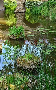 Preview wallpaper pond, bridge, vegetation, nature