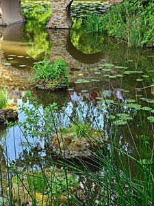 Preview wallpaper pond, bridge, vegetation, nature