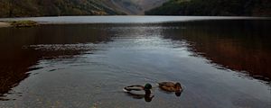 Preview wallpaper pond, ducks, ripples, mountains, hills, nature