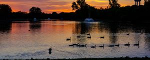 Preview wallpaper pond, ducks, sunset, nature, dark