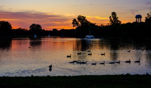 Preview wallpaper pond, ducks, sunset, nature, dark