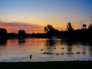 Preview wallpaper pond, ducks, sunset, nature, dark