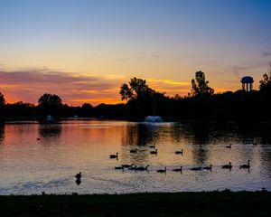 Preview wallpaper pond, ducks, sunset, nature, dark