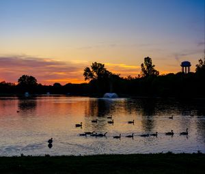 Preview wallpaper pond, ducks, sunset, nature, dark