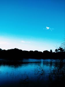 Preview wallpaper pond, evening, grass, trees, sky