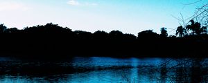 Preview wallpaper pond, evening, grass, trees, sky