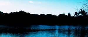 Preview wallpaper pond, evening, grass, trees, sky