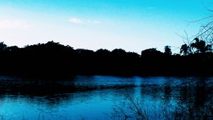 Preview wallpaper pond, evening, grass, trees, sky