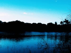 Preview wallpaper pond, evening, grass, trees, sky