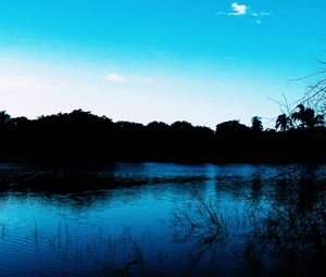 Preview wallpaper pond, evening, grass, trees, sky