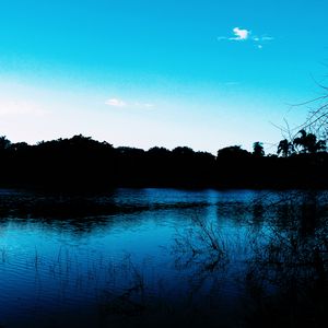 Preview wallpaper pond, evening, grass, trees, sky