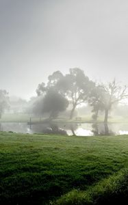 Preview wallpaper pond, fog, morning, reservoir, trees, summer, cool