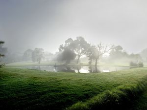 Preview wallpaper pond, fog, morning, reservoir, trees, summer, cool