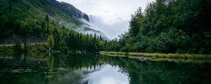 Preview wallpaper pond, fog, trees, forest, nature, slope