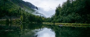 Preview wallpaper pond, fog, trees, forest, nature, slope