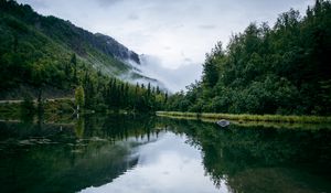 Preview wallpaper pond, fog, trees, forest, nature, slope