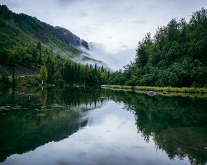 Preview wallpaper pond, fog, trees, forest, nature, slope