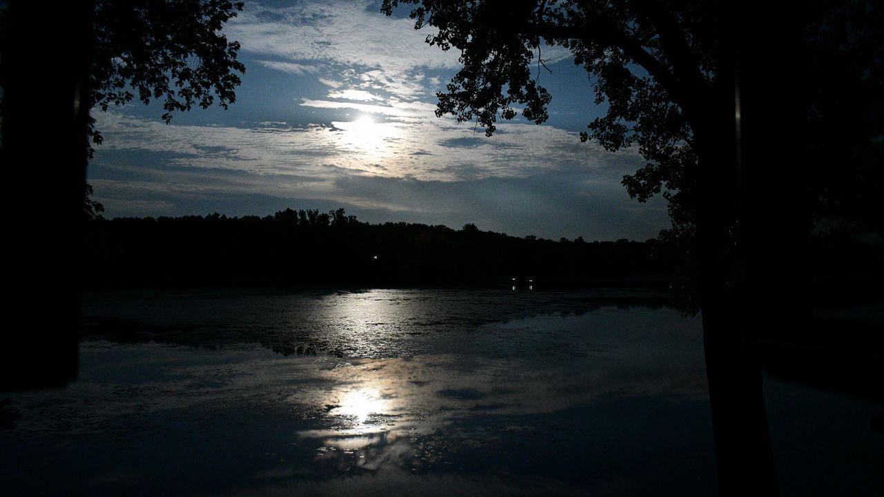 Wallpaper pond, forest, night, darkness, light