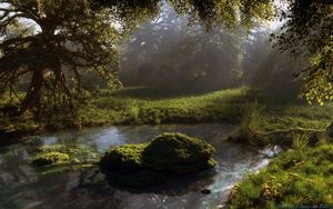 Preview wallpaper pond, forest, trees, nature